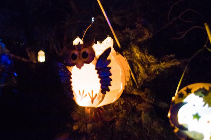 Bild: 20221112-185642.jpg